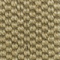 /products/safari-3774-cunera/